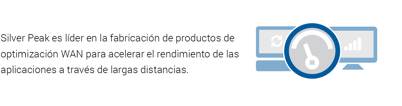 Servicios Silver Peak